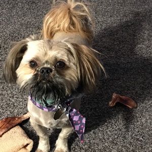 Meet your Posher, Vicky